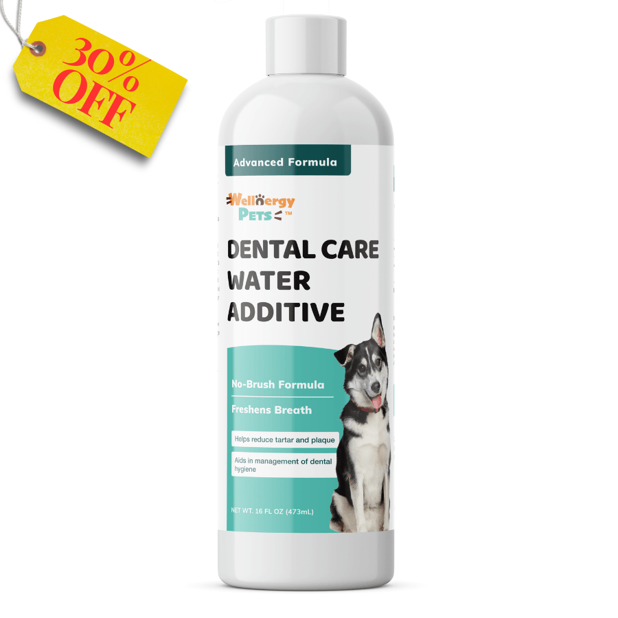 DENTAL CARE WATER ADDITIVE dental care water additive for dogs and cats