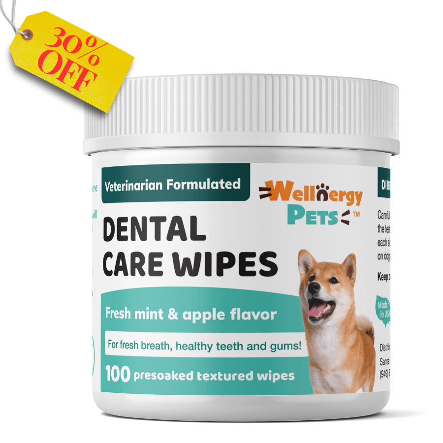 Pet Dental Care Wipes Fresh Breath Zero Brushing Mint Apple Flavor Wellnergy Pets