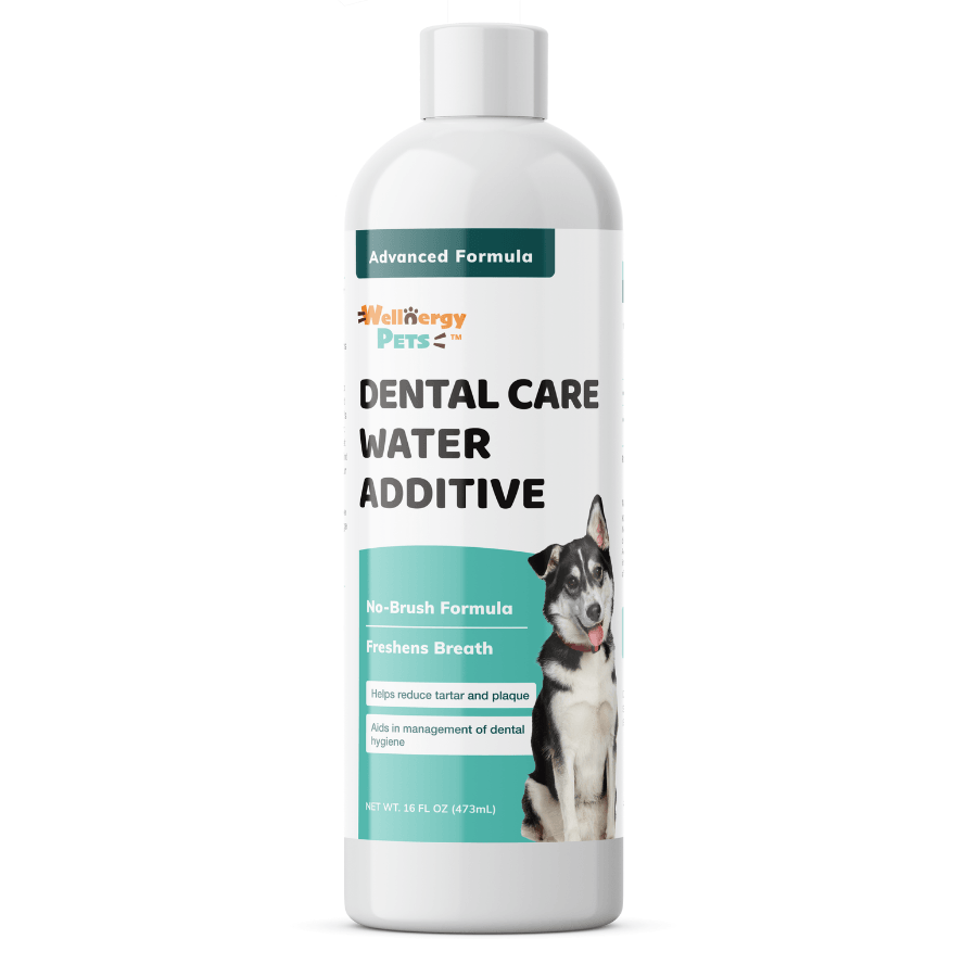 Dental fresh advanced plaque & tartar water additive for dogs hotsell