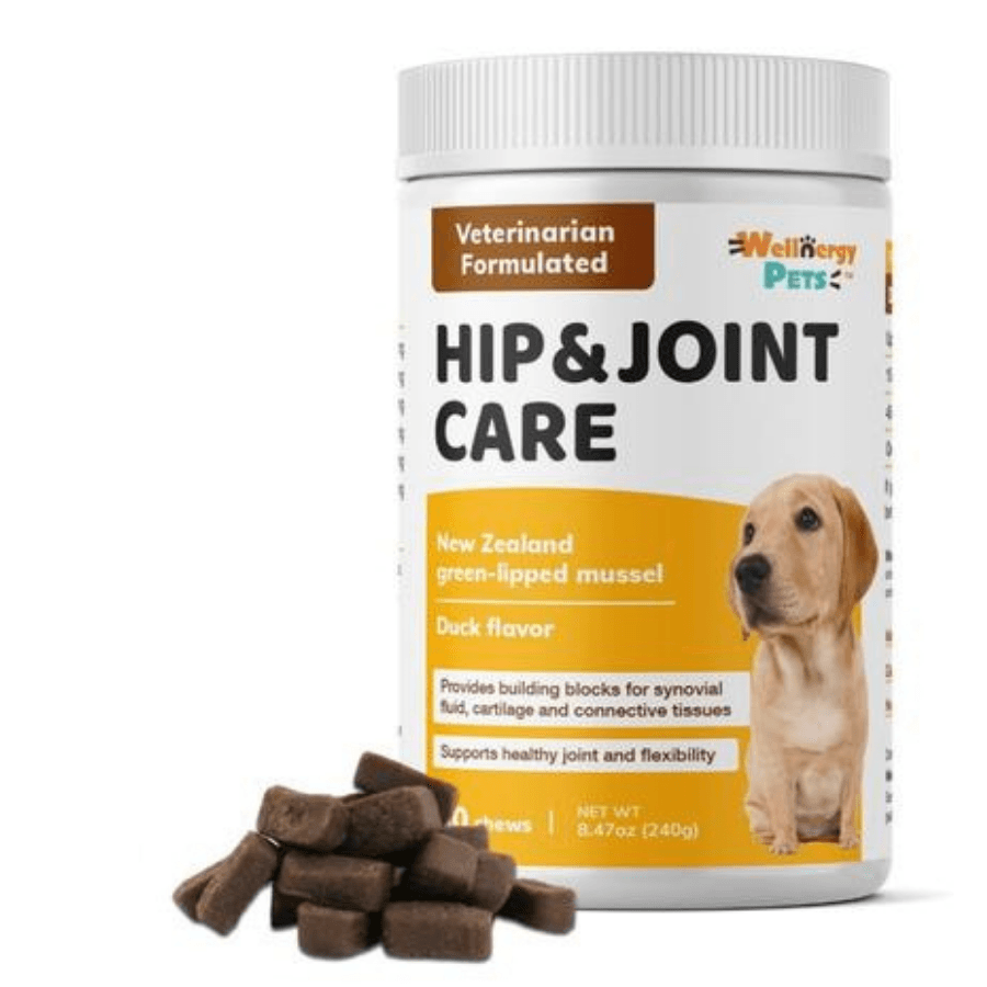 Pet Wellness Products | Wellnergy Pets