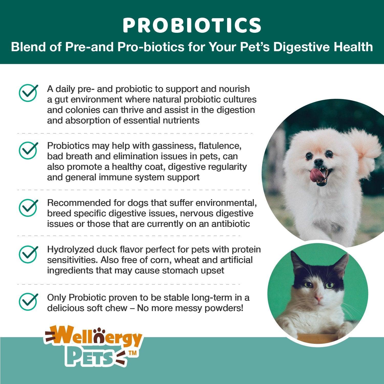 can much probiotics cause diarrhea in dogs