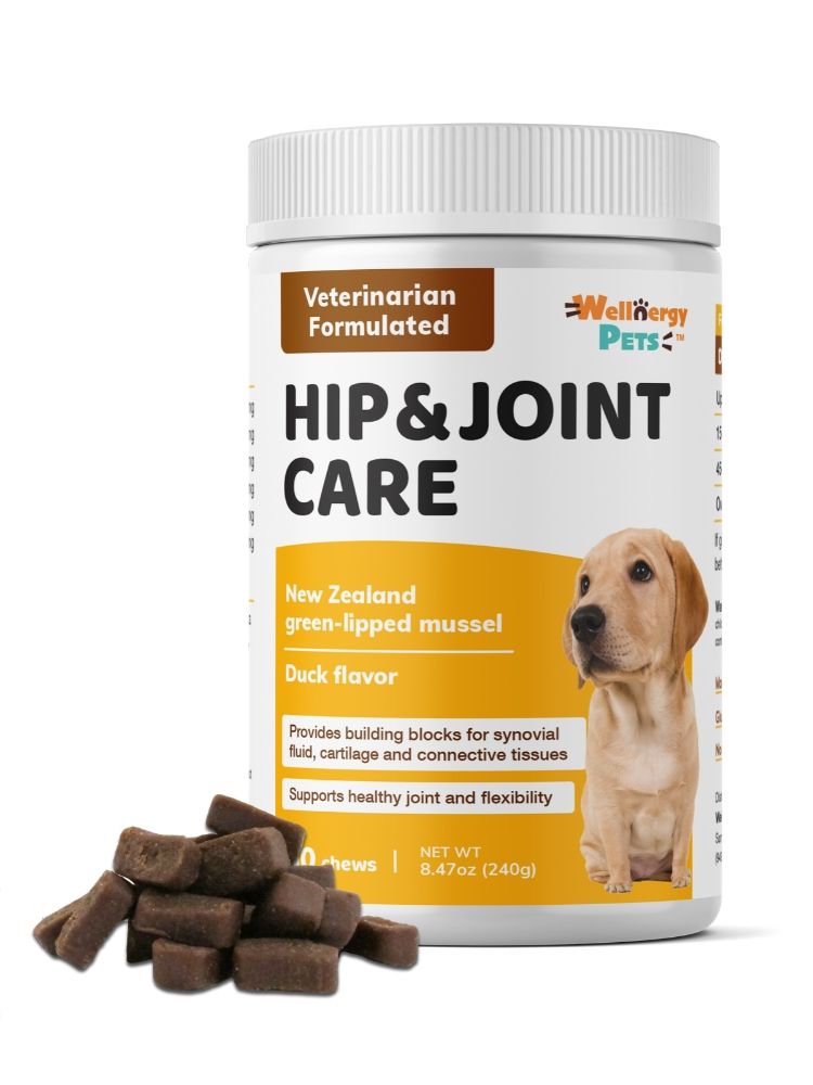 Hip Joint Dog Chews MSM Glucosamine Chondroitin Vitamin