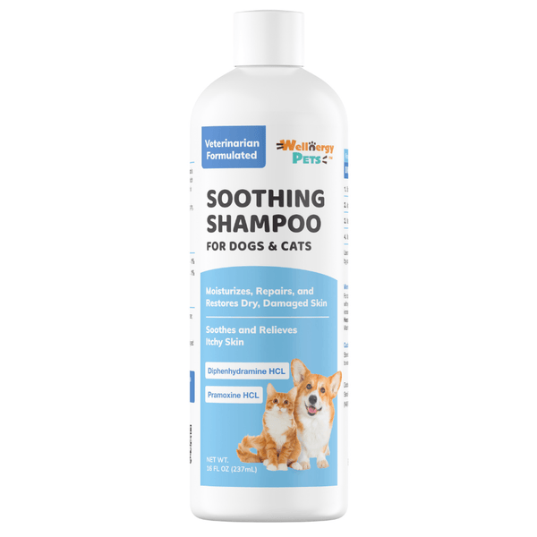 Pramoxine shampoo shop for dogs